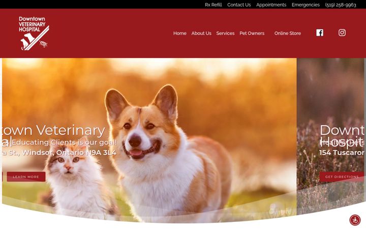 Screenshot of downtownvet.net