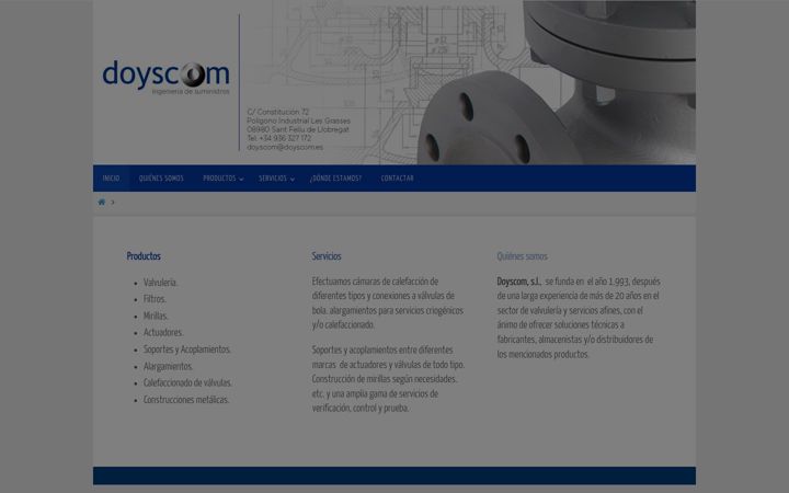 Screenshot of doyscom.es