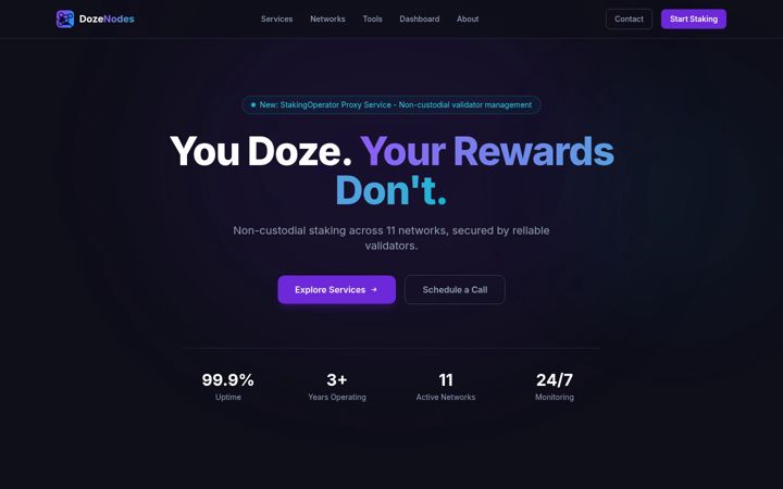 Screenshot of dozenodes.com
