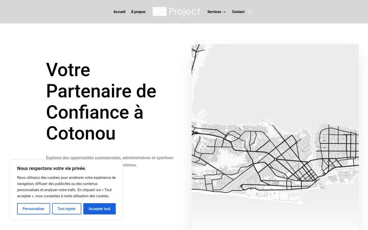 Screenshot of dp-project.com