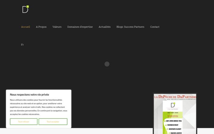 Screenshot of dpartners-africa.com