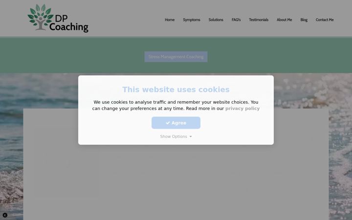 Screenshot of dpcoaching.net