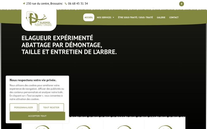 Captura de pantalla de dpelagage.fr