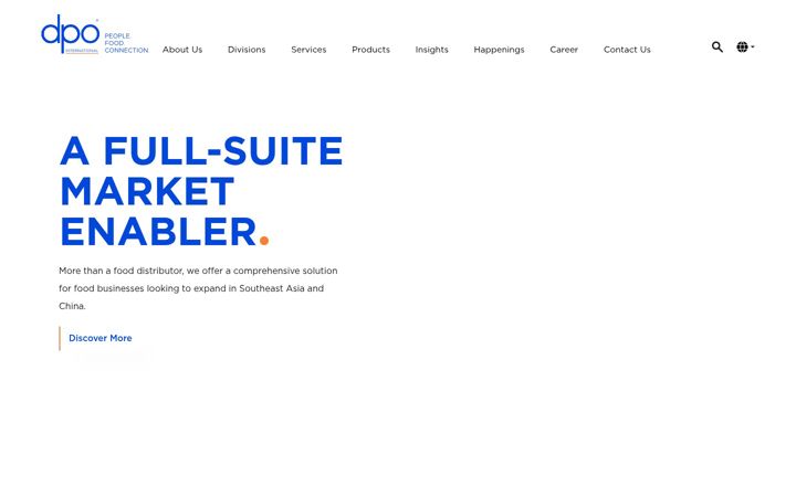 Screenshot of dpointernational.com