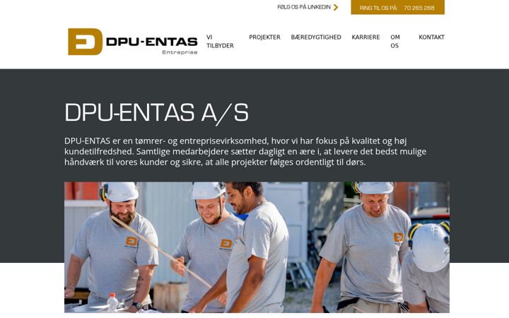 Snímek obrazovky dpuentreprise.dk