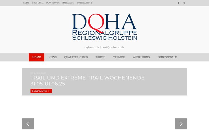 Screenshot of dqha-sh.de