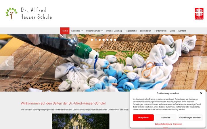 Snímek obrazovky dr-alfred-hauser-schule.de