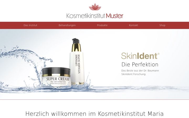Screenshot of dr-baumann-institut.com