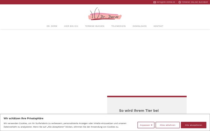 Snímek obrazovky dr-derm.de