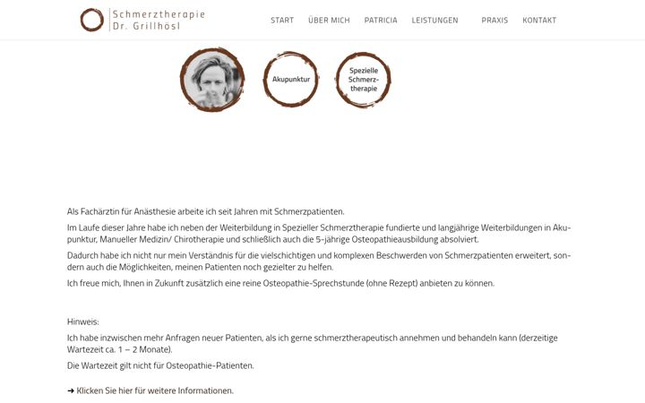 Screenshot of dr-grillhoesl.de