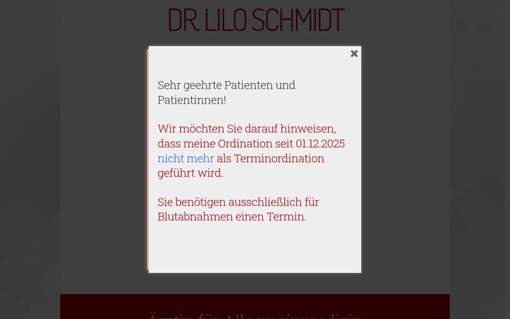 Snímek obrazovky dr-lilo-schmidt.at