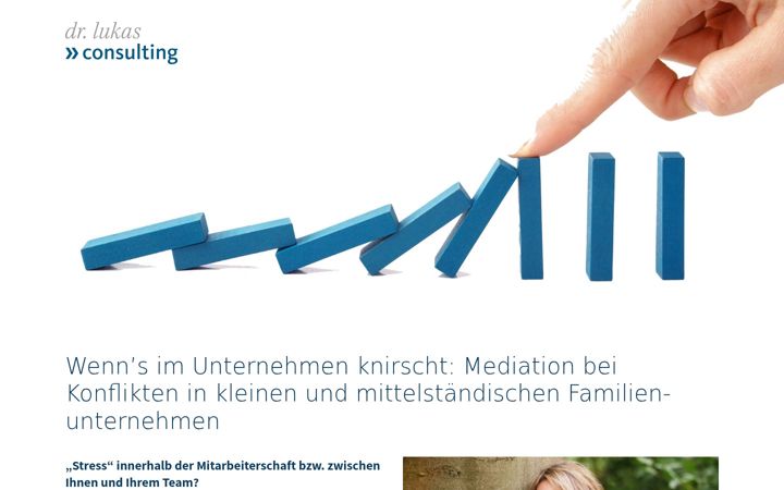 Screenshot of dr-lukas-consulting.de