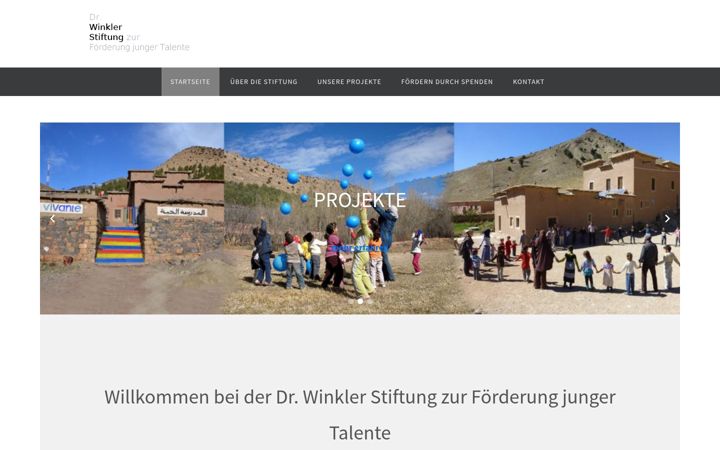 Screenshot of dr-winkler-stiftung.de