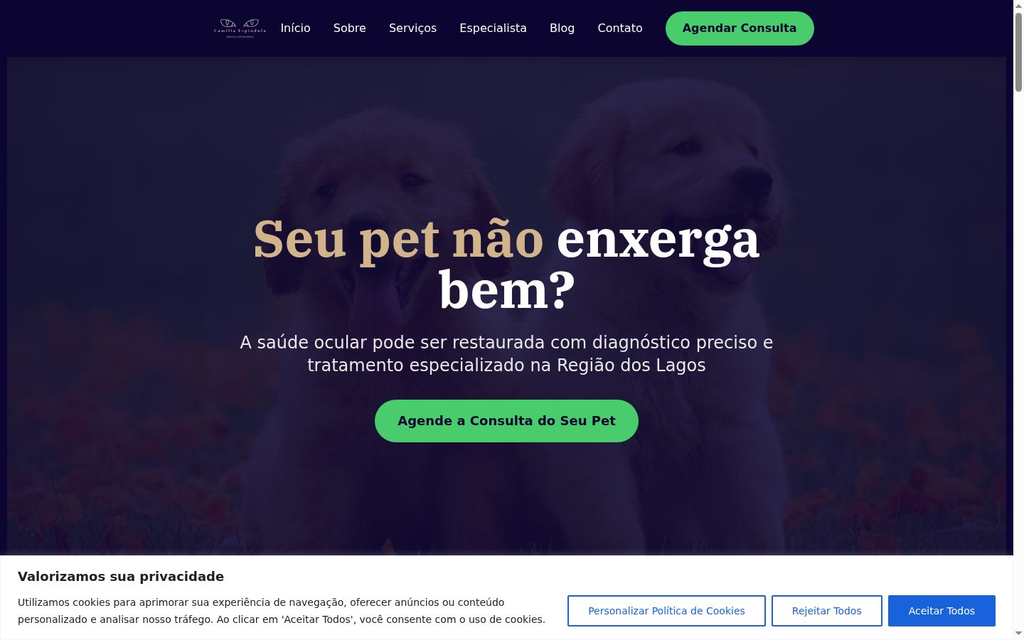 Screenshot van de toestemmingsbanner zoals getoond vóór enige interactie