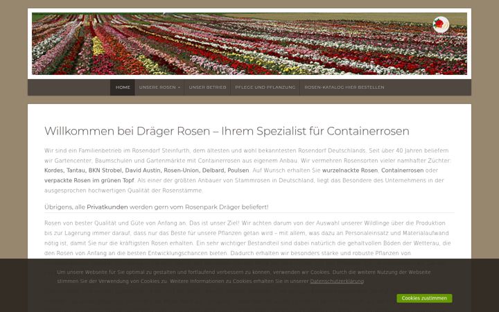 Screenshot of draeger-rosen.de