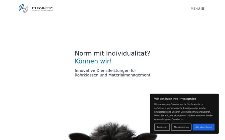 Screenshot of drafz-consulting.de