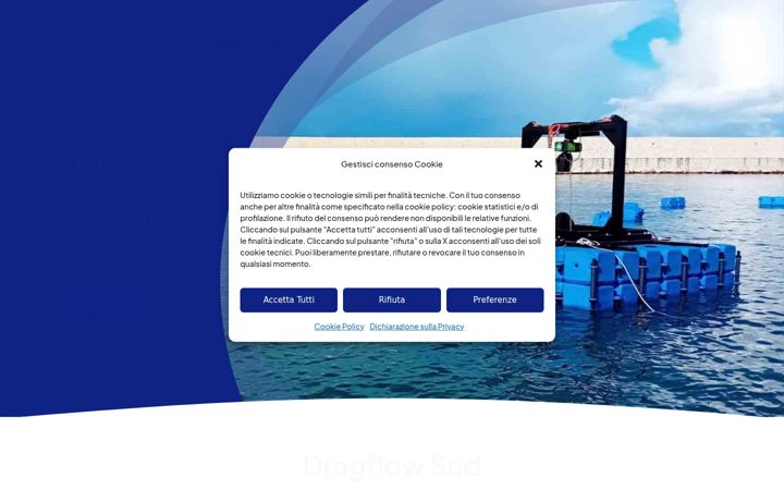 Screenshot of dragflowsud.it