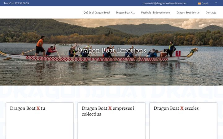 Screenshot of dragonboatemotions.com