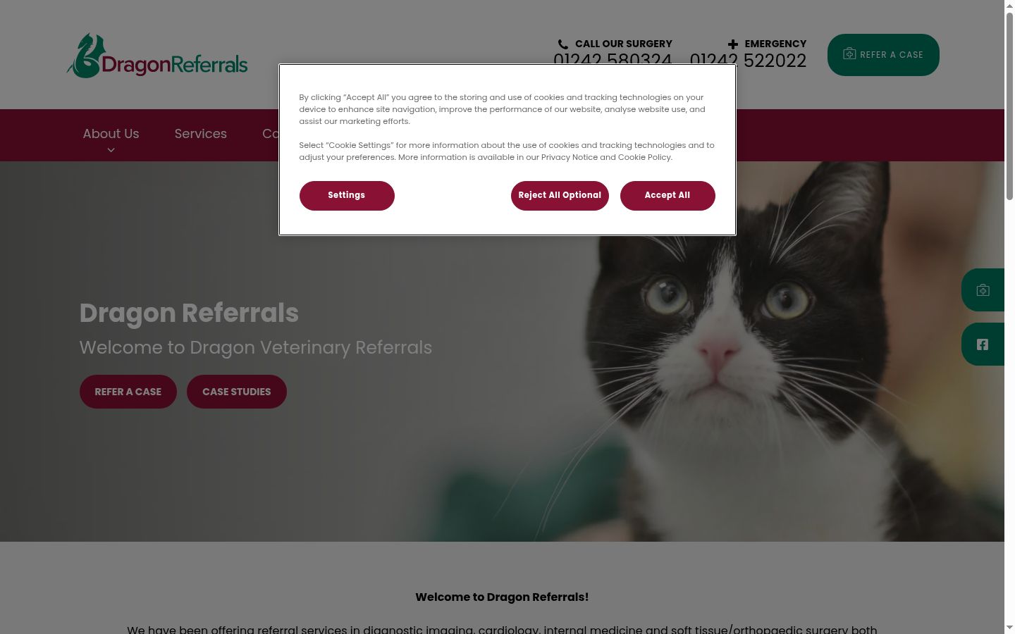Screenshot of the consent banner shown before any interaction
