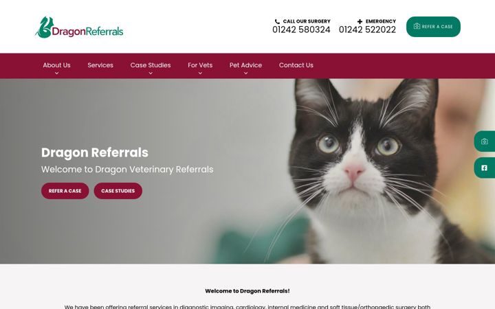 Ekrano kopija dragonreferrals.co.uk