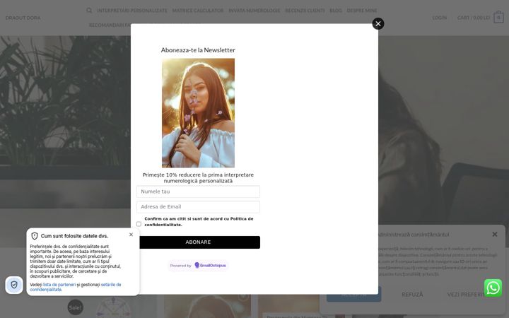 Screenshot of dragutdora.com