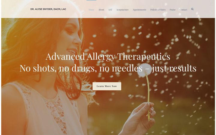 Screenshot of dralysesnyder.com