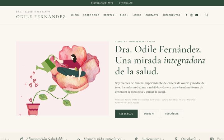 Screenshot of draodilefernandez.com