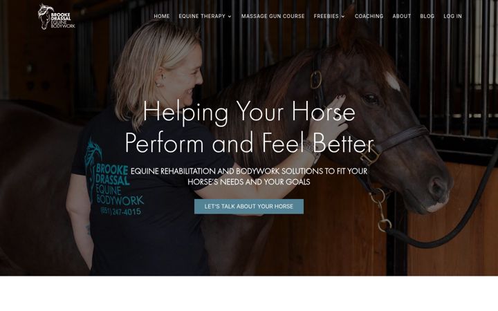 Screenshot of drassalequinebodywork.com