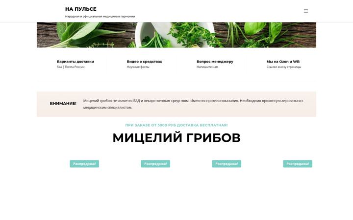 Skjámynd af dratabekov.ru