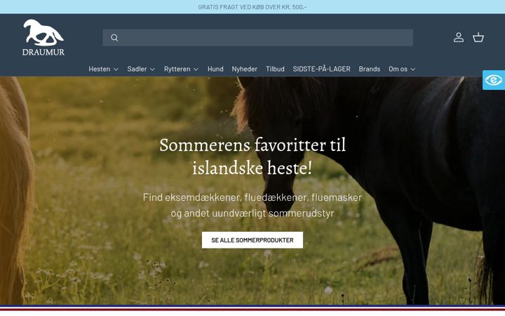 Skærmbillede af draumur.dk
