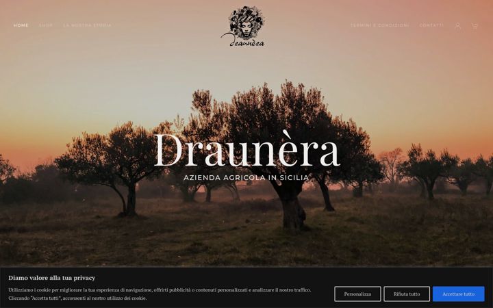 Screenshot of draunera.com