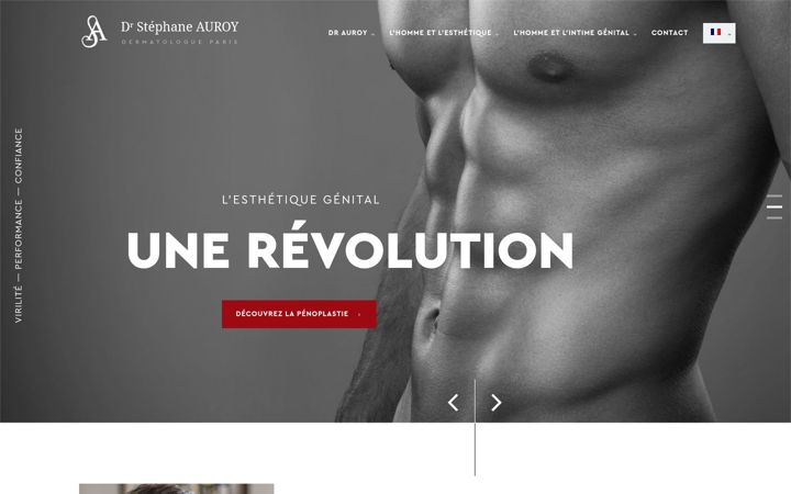 Screenshot of drauroy-penoplastie.com