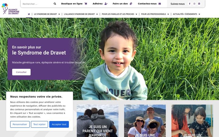 Screenshot of dravet.fr