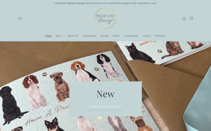 Screenshot of drawnbydarcy.com