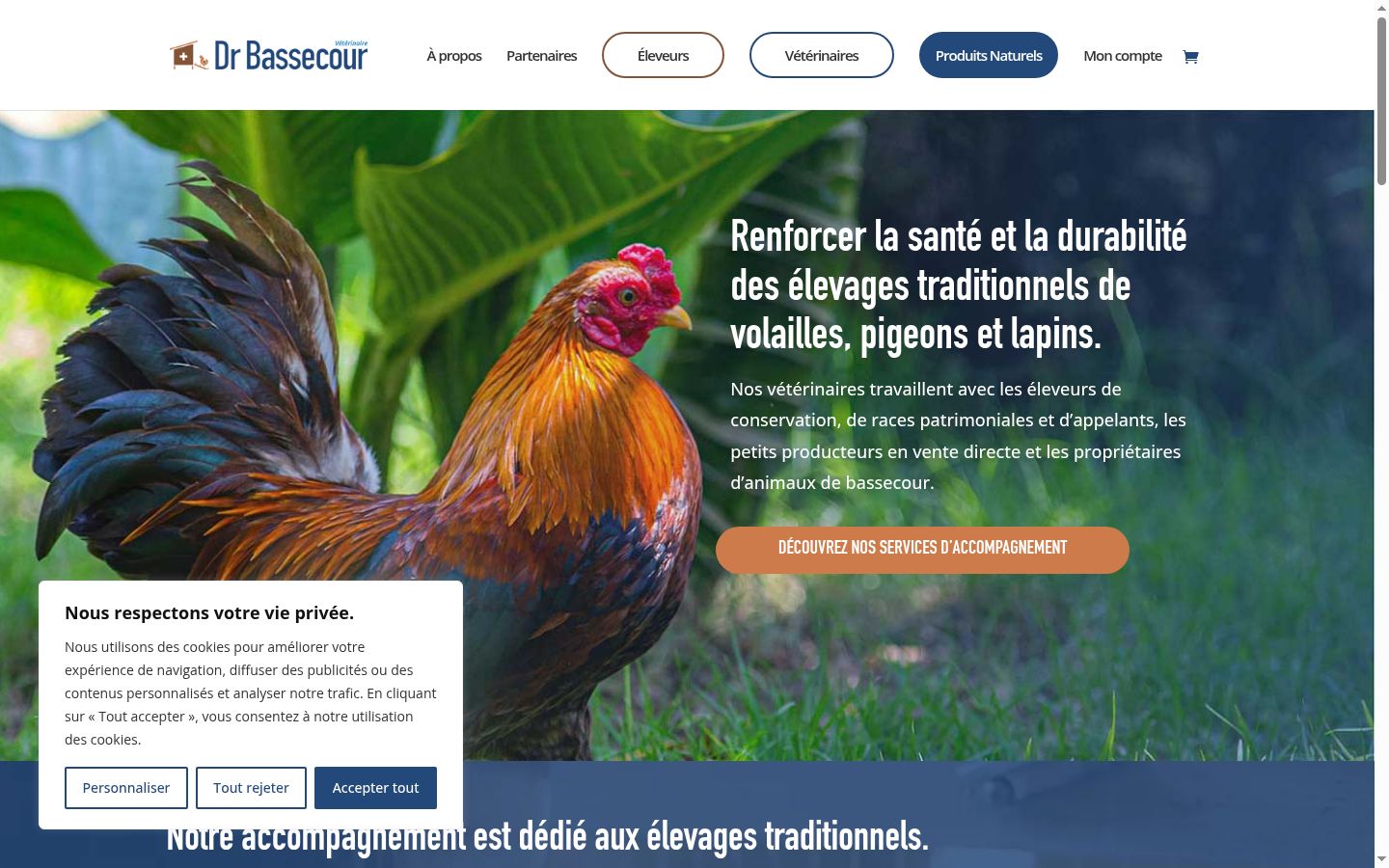 Sutikimo reklamjuostės, rodytos prieš bet kokią sąveiką, ekrano kopija