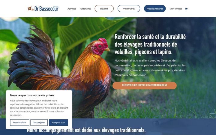 Screenshot of drbassecour.fr