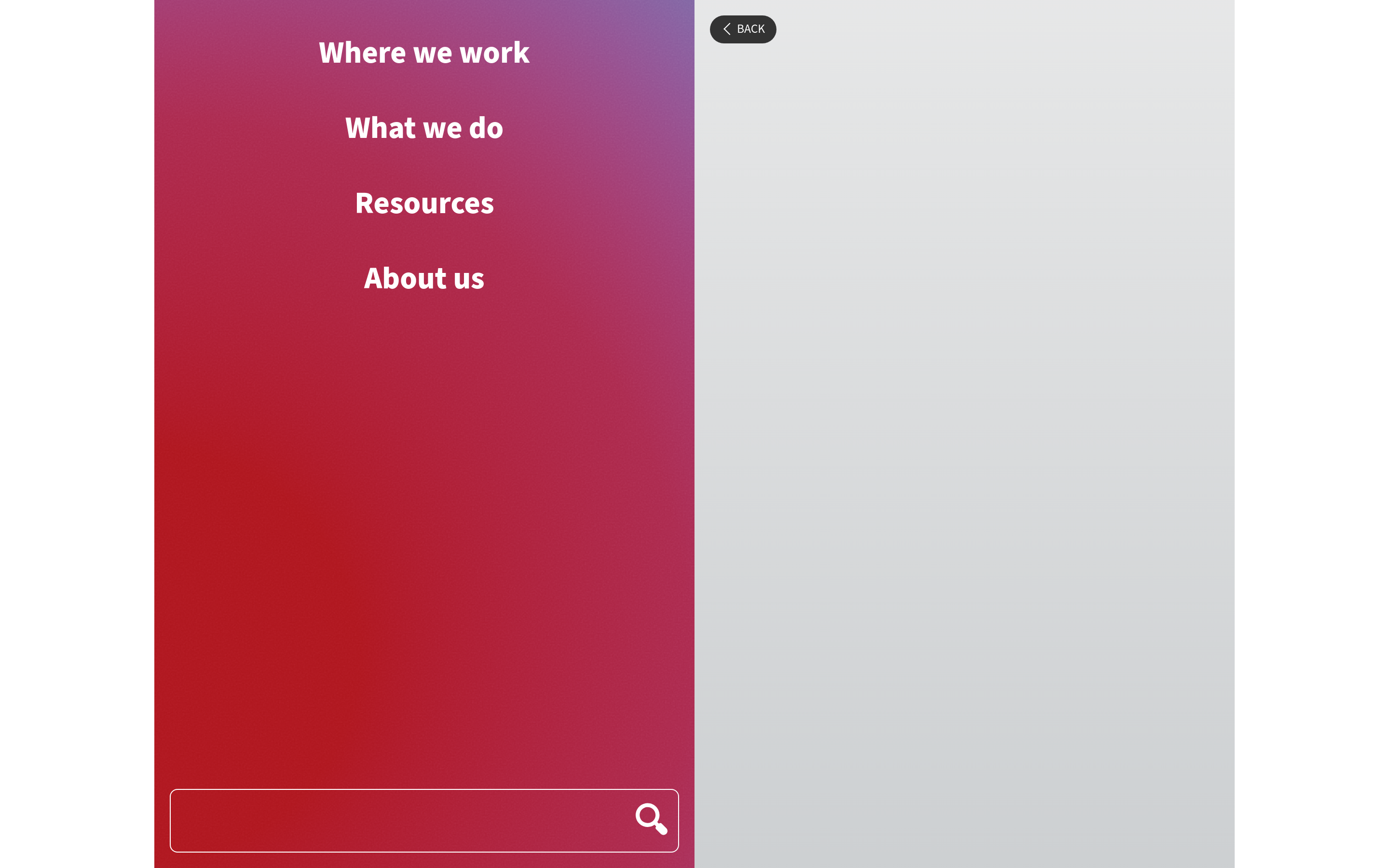 Screenshot of drc.ngo