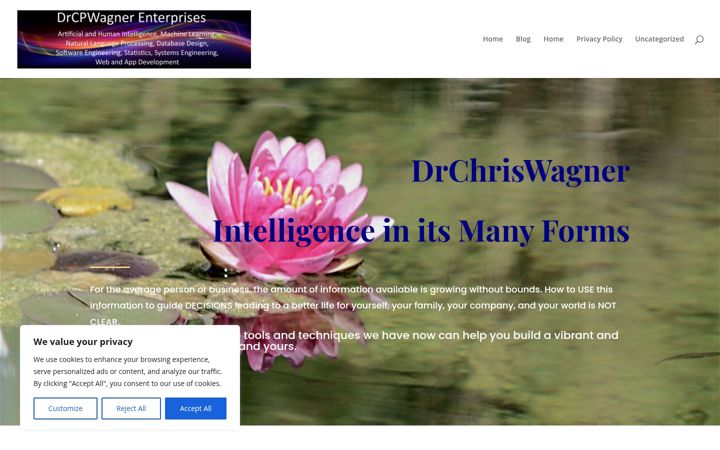 Screenshot of drcpwagnerventures.com