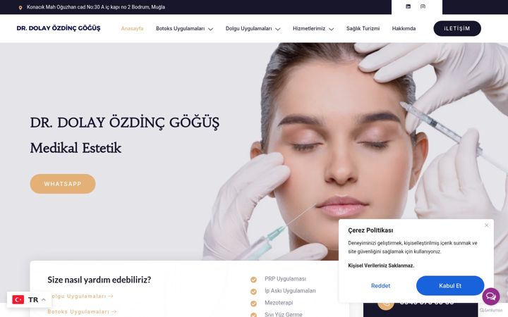 Screenshot of drdolayozdincgogus.com