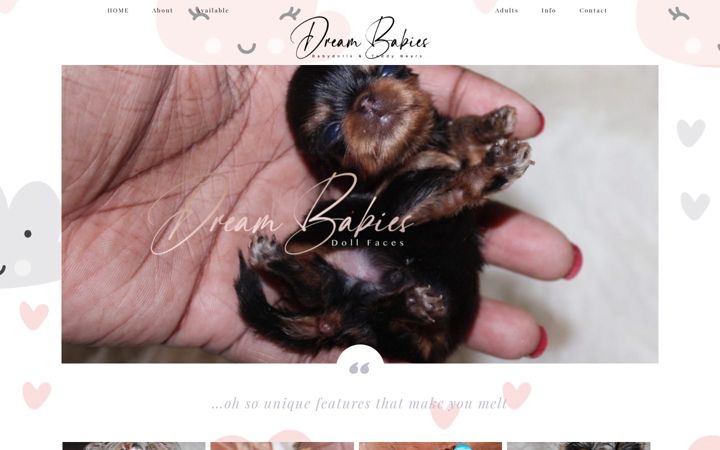 Screenshot of dream-babies.com