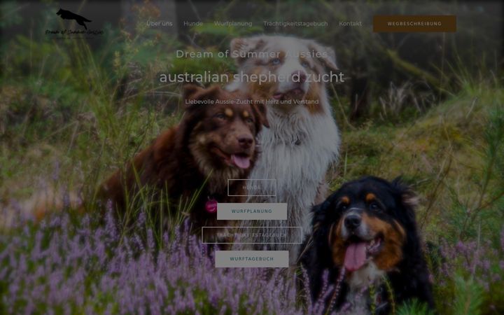 Screenshot of dream-of-summer-aussies.de