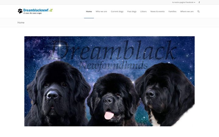 Screenshot of dreamblacknewf.it