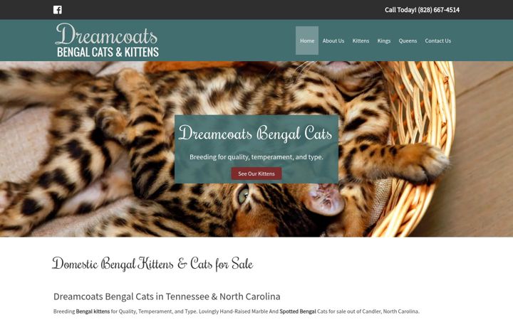 Screenshot of dreamcoatsbengals.com