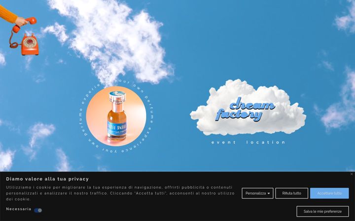 Screenshot of dreamfactory.it