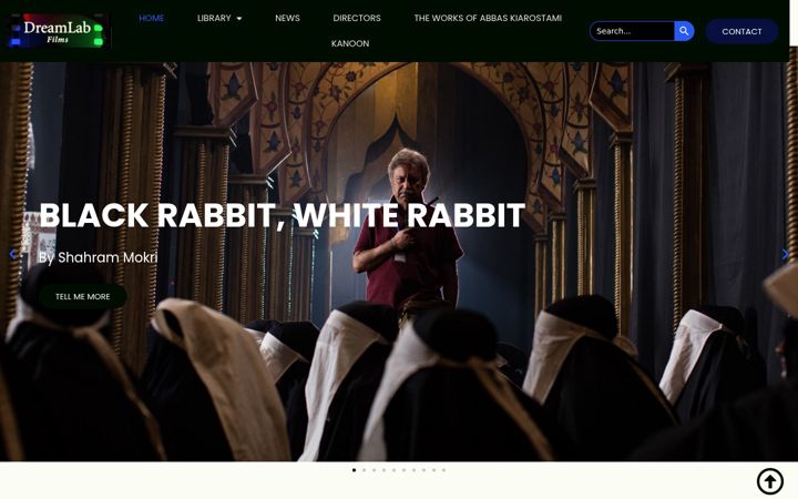 Screenshot of dreamlabfilms.com