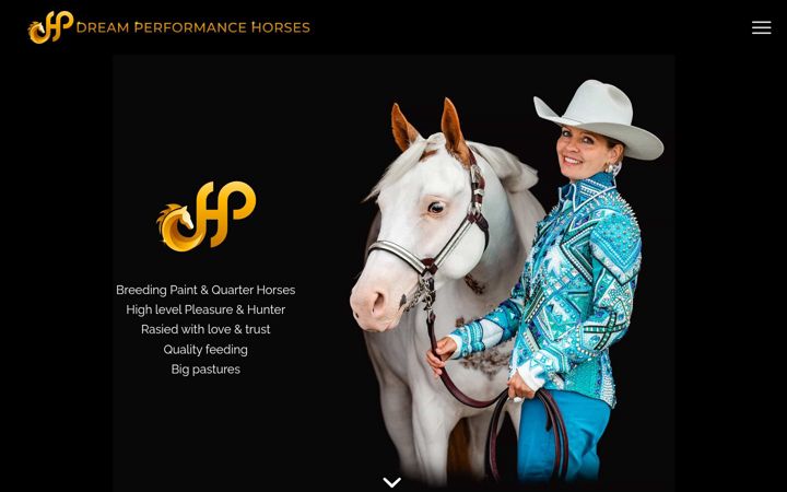 Screenshot of dreamperformancehorses.com