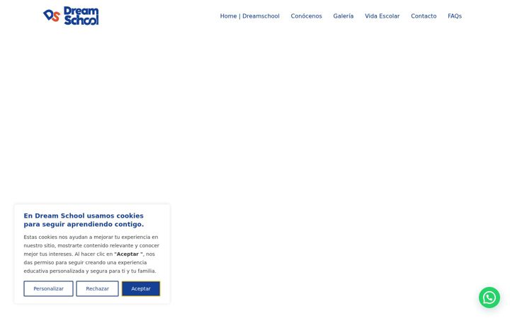 Screenshot of dreamschoolpdc.com