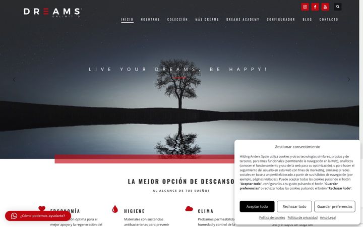 Screenshot of dreamsunlimited.net