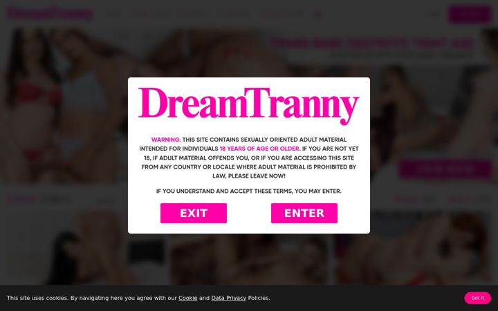 Screenshot of dreamtranny.com