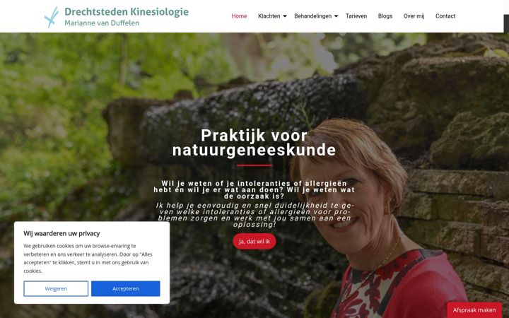 Screenshot van drechtstedenkinesiologie.nl